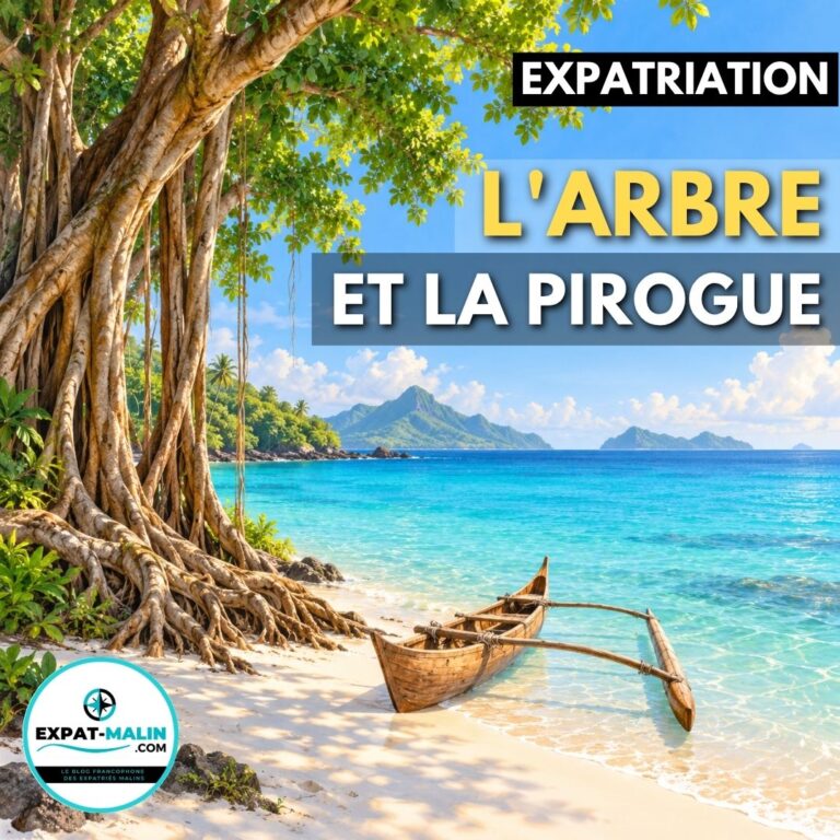 ▷ L&rsquo;arbre et la pirogue : la fable de l&rsquo;expatrié